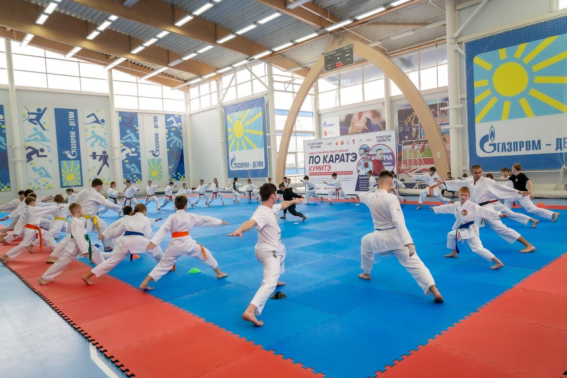 федерация каратэ тульской области.jpg