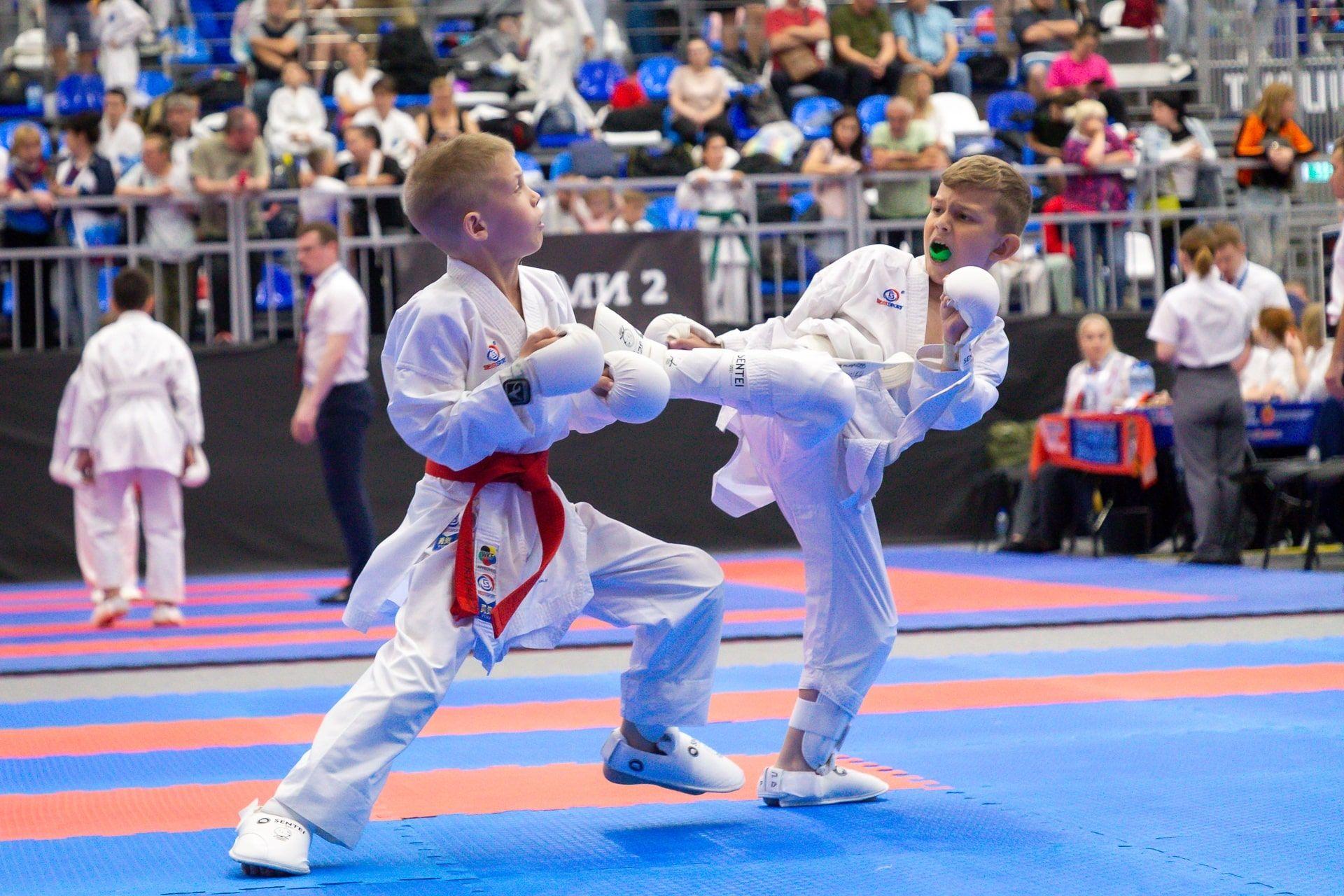 VIII Межрегиональный турнир по всестилевому каратэ «День Победы», посвящённый 79-ой годовщине со дня Победы в Великой Отечественной войне 1941-1945 гг», 2024 год