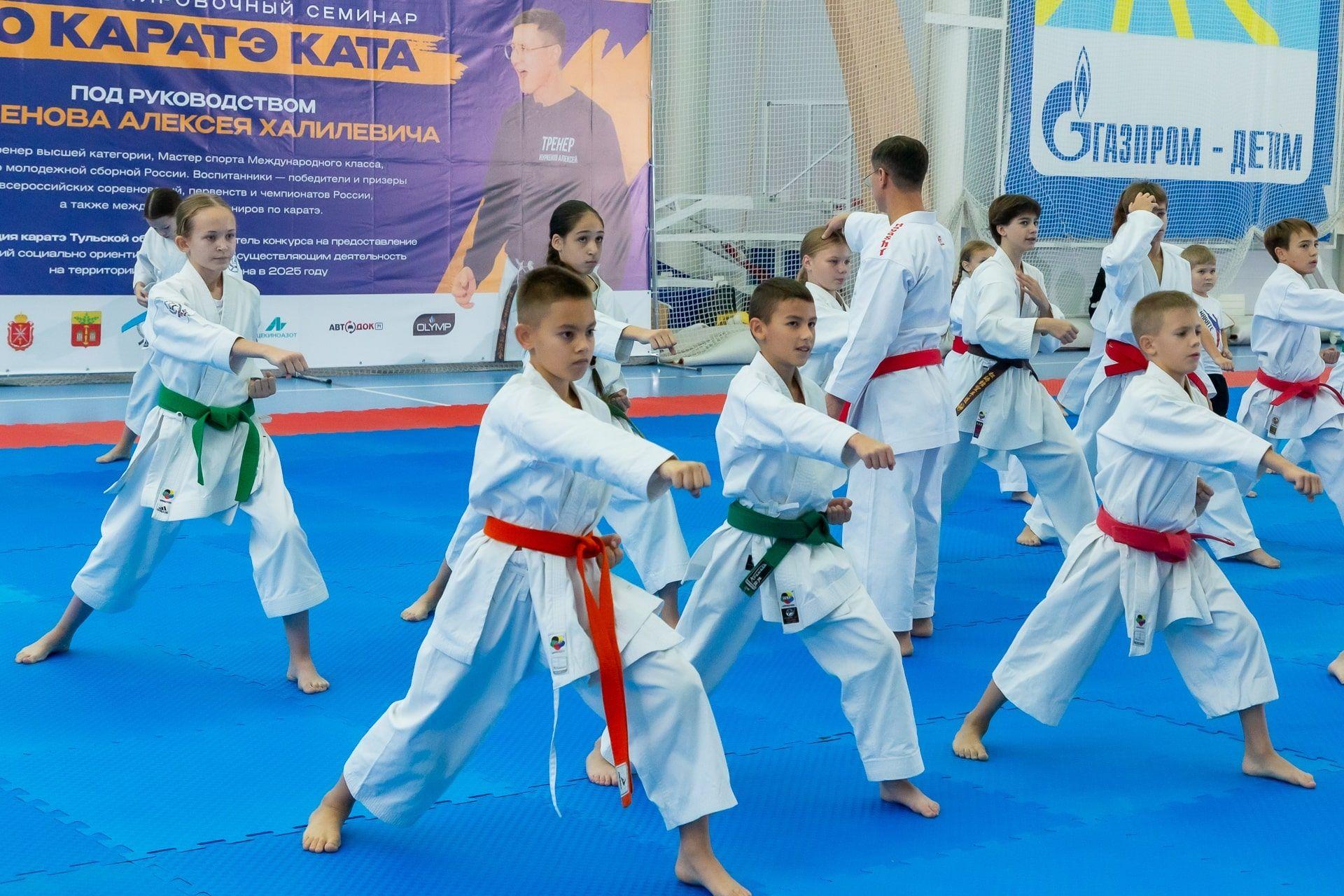 каратэ тула