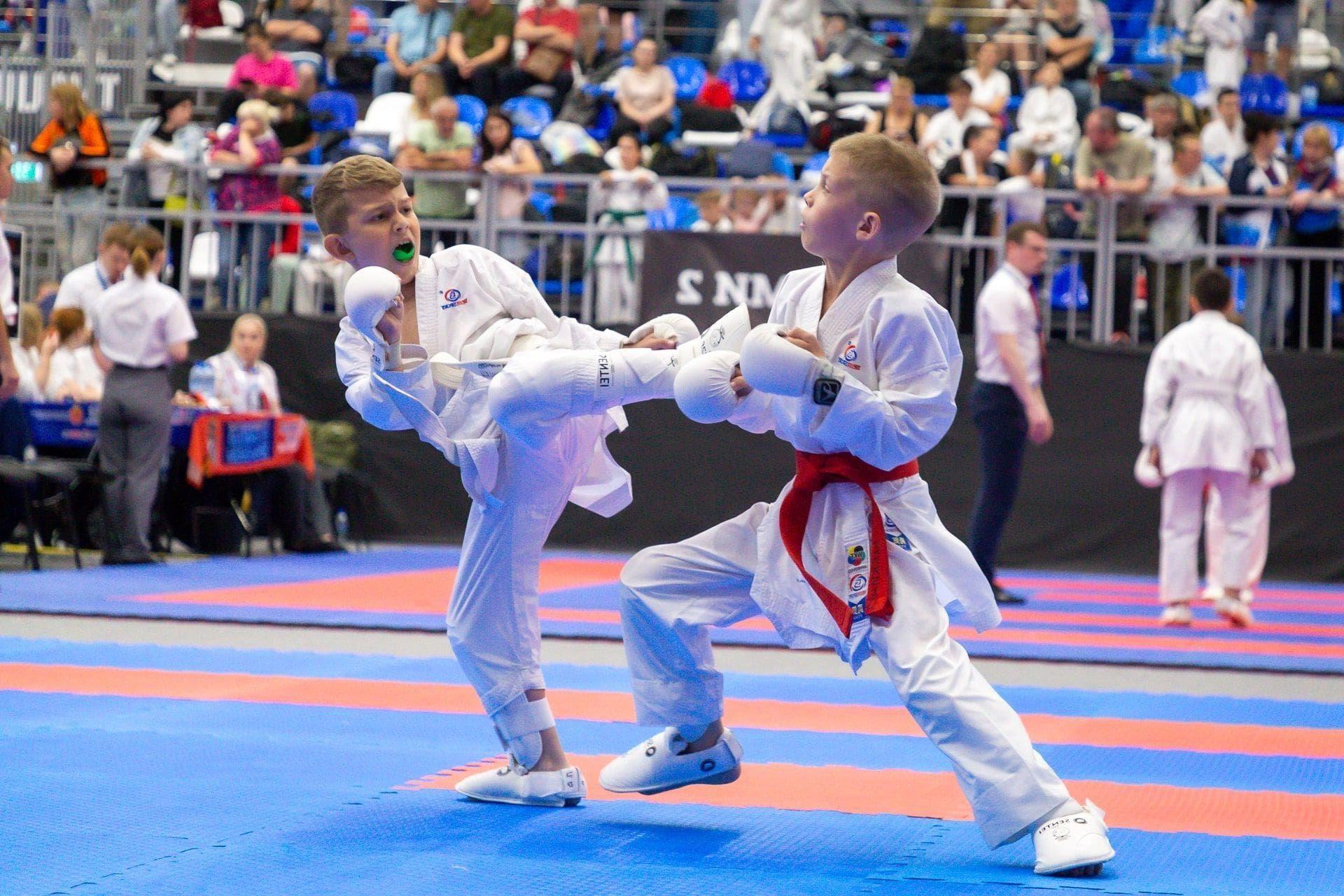 карате в туле