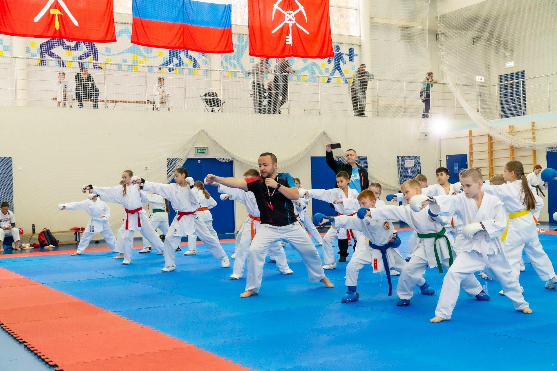 Тренировки по каратэ под руководством МСМК Панкратова Алексея Ильича в Туле! Учебно-тренировочный семинар по кумитэ