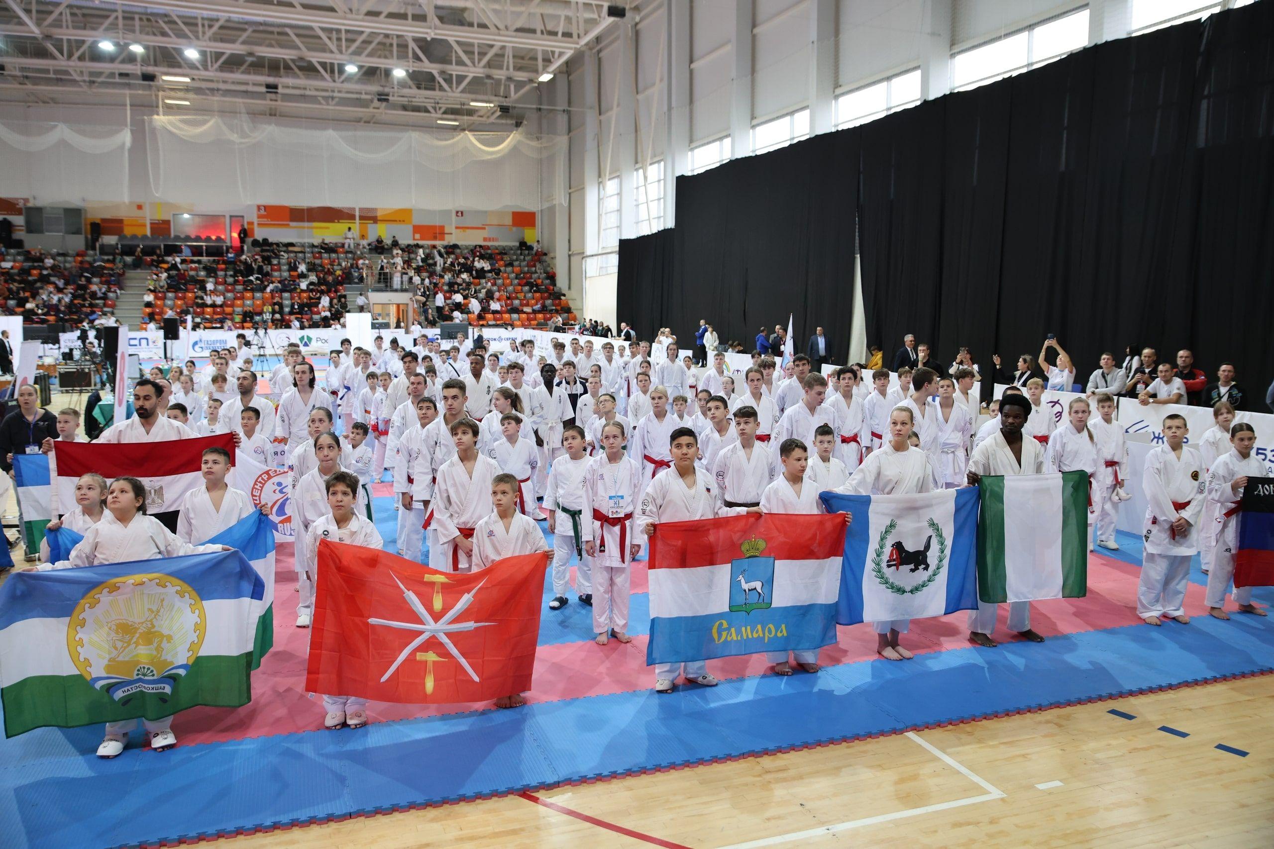 XI Кубок Евразии по всестилевому каратэ. Международные соревнования