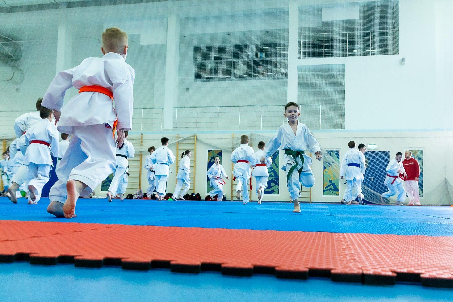 Семинар по кумитэ под руководством Панкратова Алексея Ильича в Туле