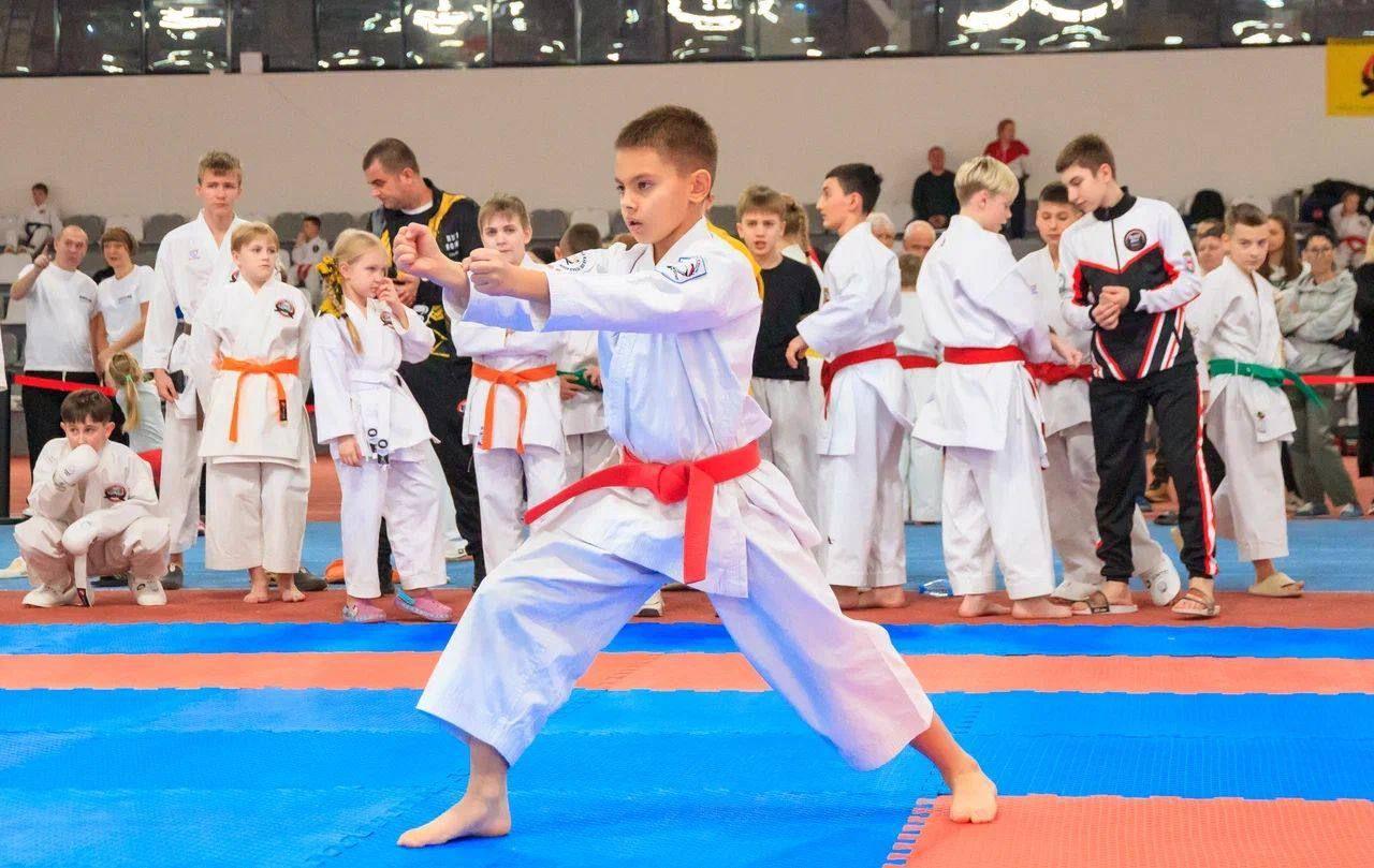 Кубок Дружбы - соревнования по каратэ в Туле
